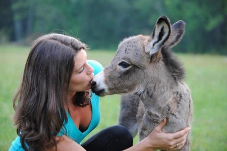 Kissing a donkey to cure toothache