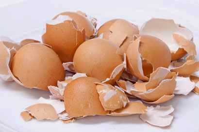 Use crushed eggshells as toothpaste