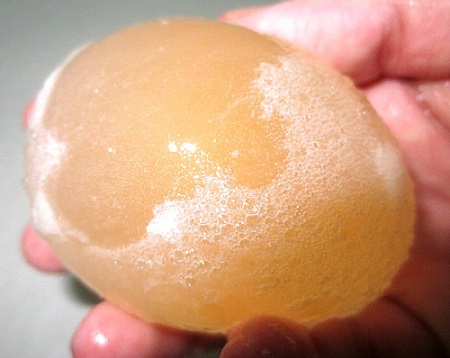 Egg Shell Experiment