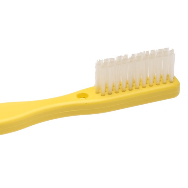 Oversized Demonstration Toothbrush (Yellow)