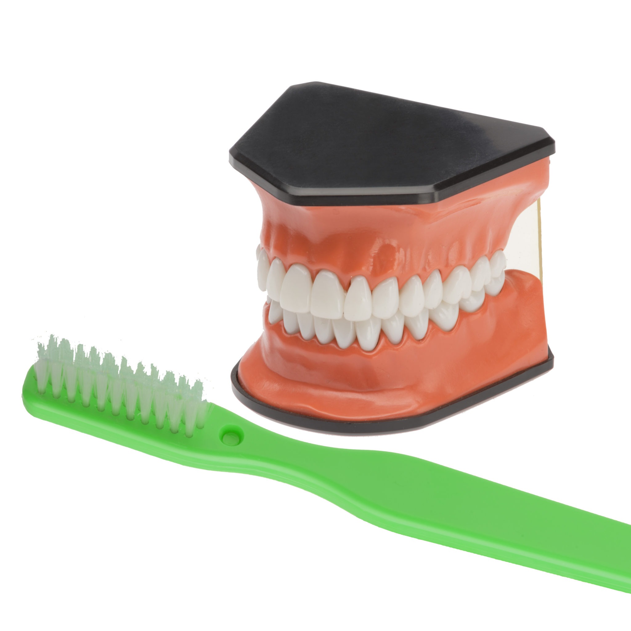 dental office toys