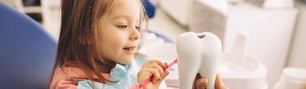 Dental Facts for Kids