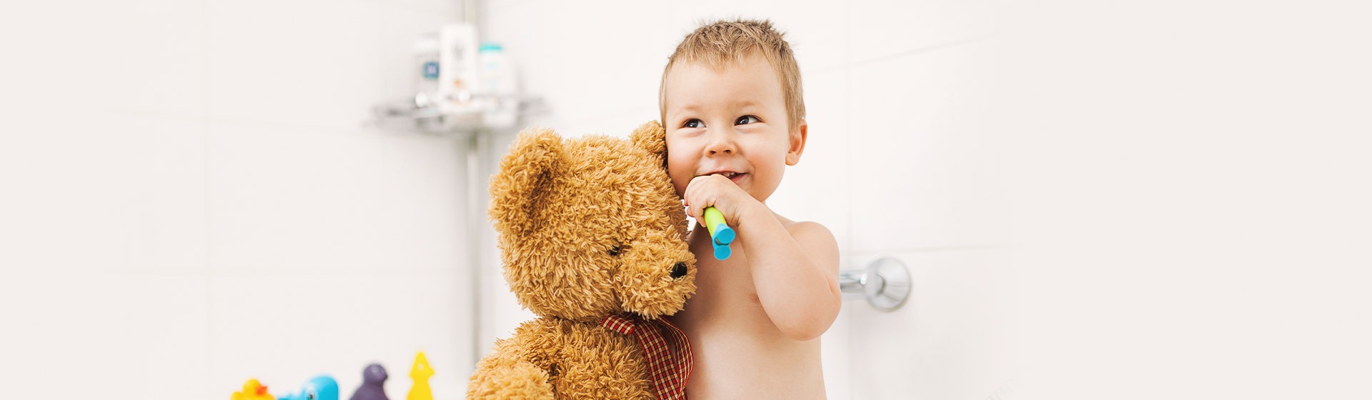 The Best Oral Hygiene Promotion Activities with Plush Toys